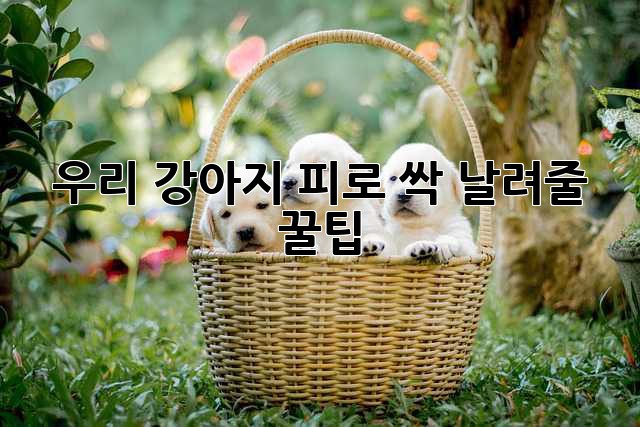 edb64dfb981bb41e7adc7edf0395fcda.jpg