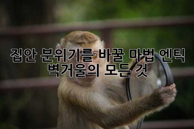 ✨집안 분위기를 바꿀 마법, 엔틱 벽거울의 모든 것✨