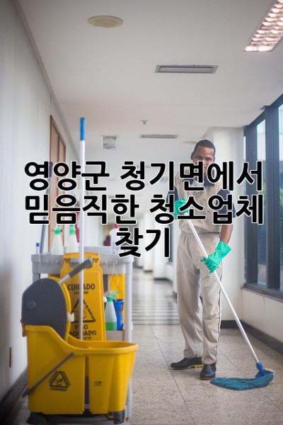 영양군 청기면에서 믿음직한 청소업체 찾기! ✨