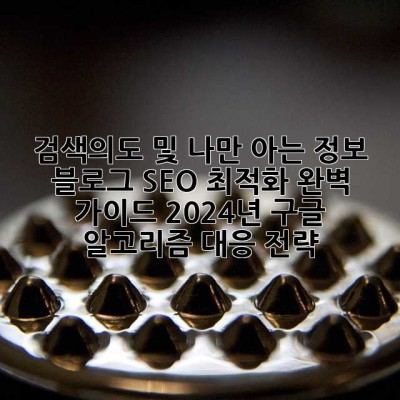 검색의도 및 나만 아는 정보:  블로그 SEO 최적화 완벽 가이드: 2024년 구글 알고리즘 대응 전략