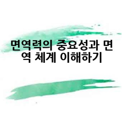 면역력 강화, 어떻게 하면 효과적으로 높일 수 있을까요?