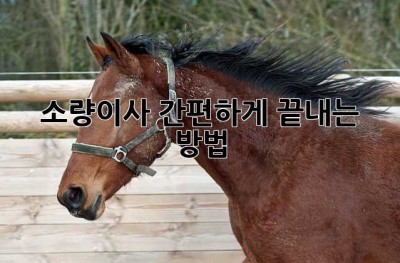 소량이사, 간편하게 끝내는 방법!