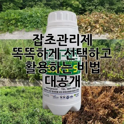 🌿잡초관리제, 똑똑하게 선택하고 활용하는 비법 대공개!