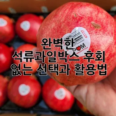 완벽한 석류과일박스, 후회 없는 선택과 활용법 💖