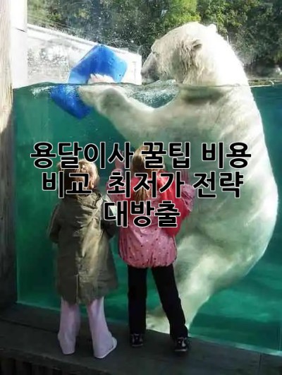 용달이사 꿀팁🍯 비용 비교 & 최저가 전략 대방출!