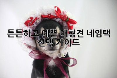 튼튼하고 예쁜 대형견 네임택 선택 가이드
