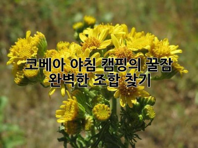 코베아 야침: 캠핑의 꿀잠, 완벽한 조합 찾기