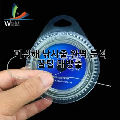 피싱해 낚시줄 완벽 분석: 꿀팁 대방출🎣