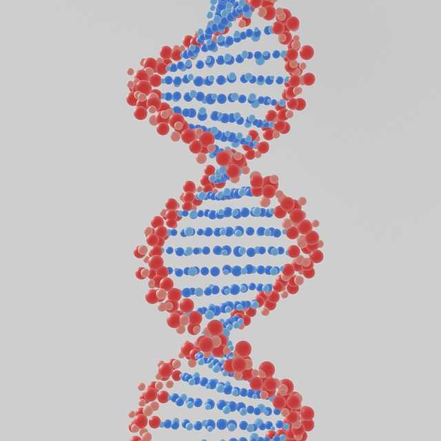 DNA-분석009.jpg